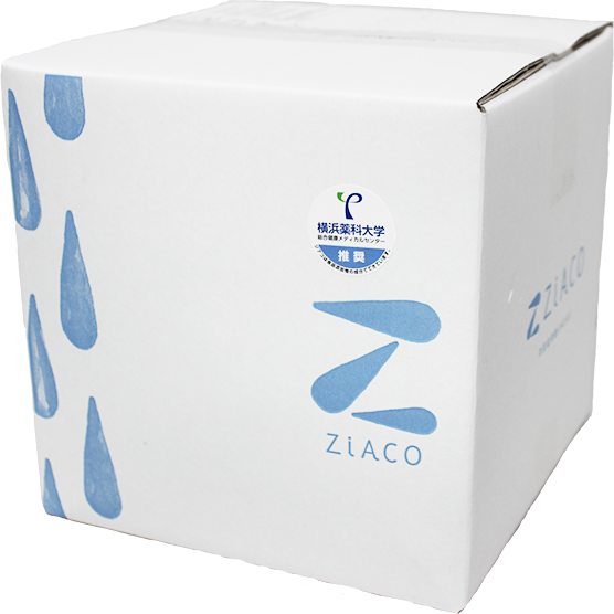 ZiACO BAG IN BOX